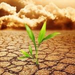 7 Dampak Pemanasan Global Bagi Kehidupan