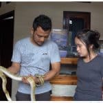 Digigit Ular Jangan Panik dan Lakukan Hal Ini