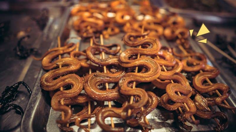 Makan Daging Ular Apakah Bermanfaat untuk Kesehatan?